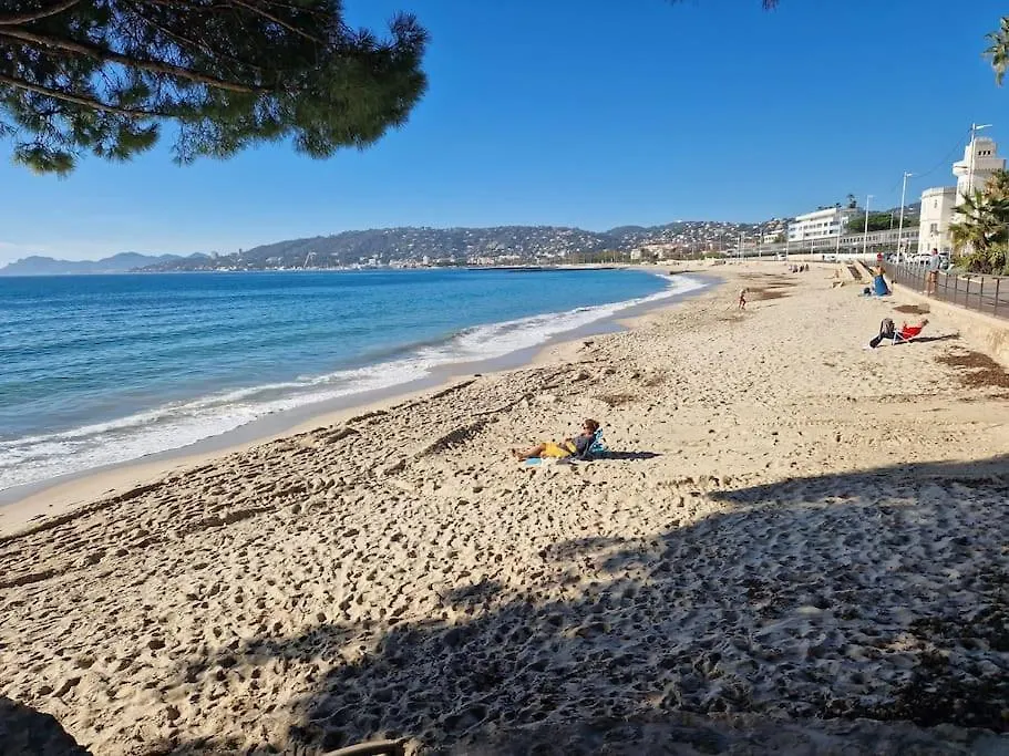 Apartment Cozy 1 Bedroom With A Seaview, Ac, Pool And Parking Antibes France
